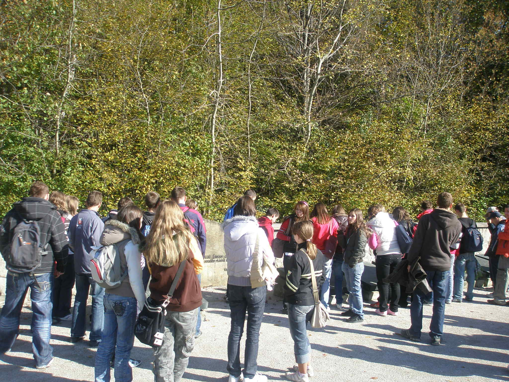 PA060003.JPG