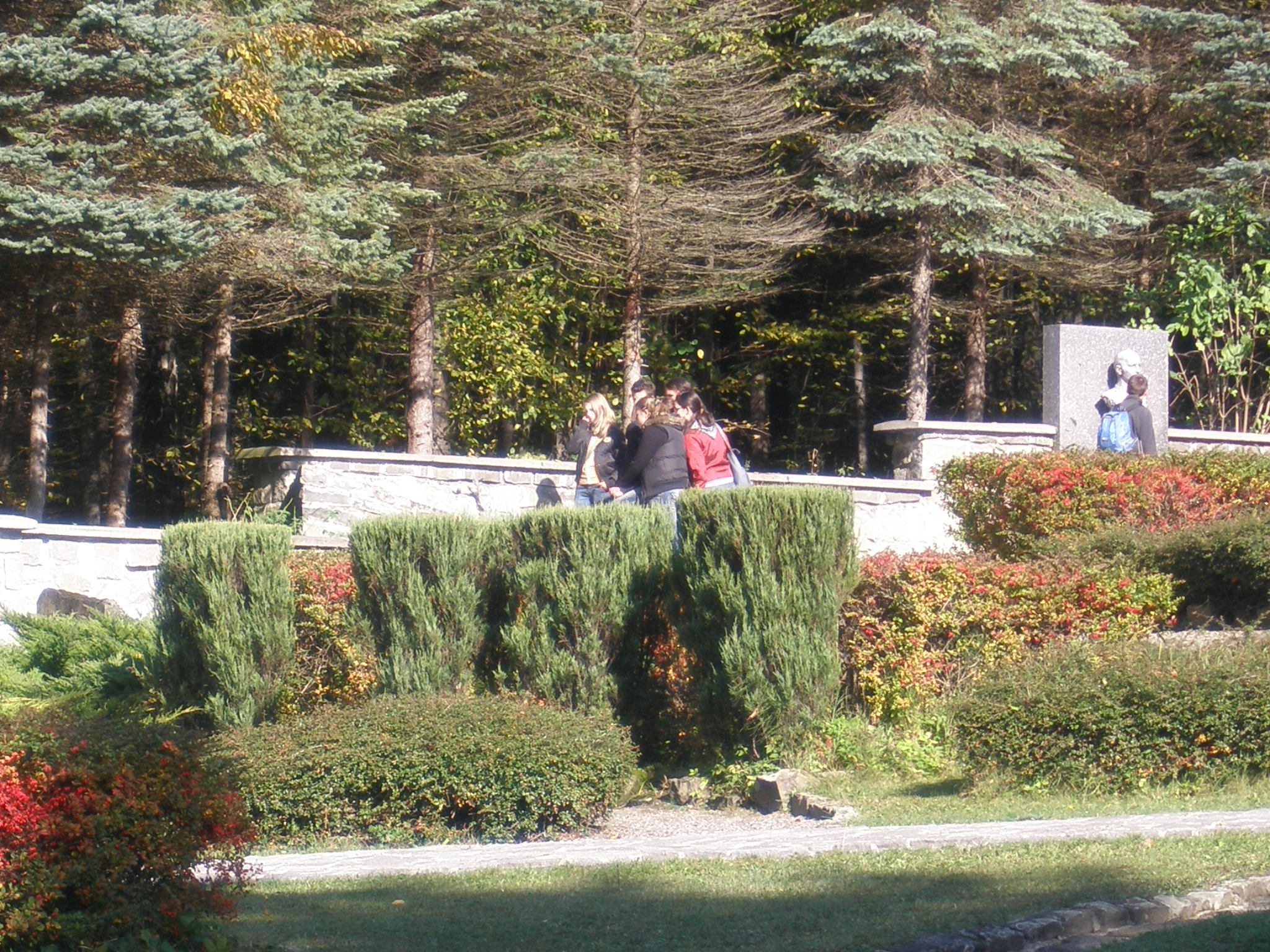 PA060005.JPG