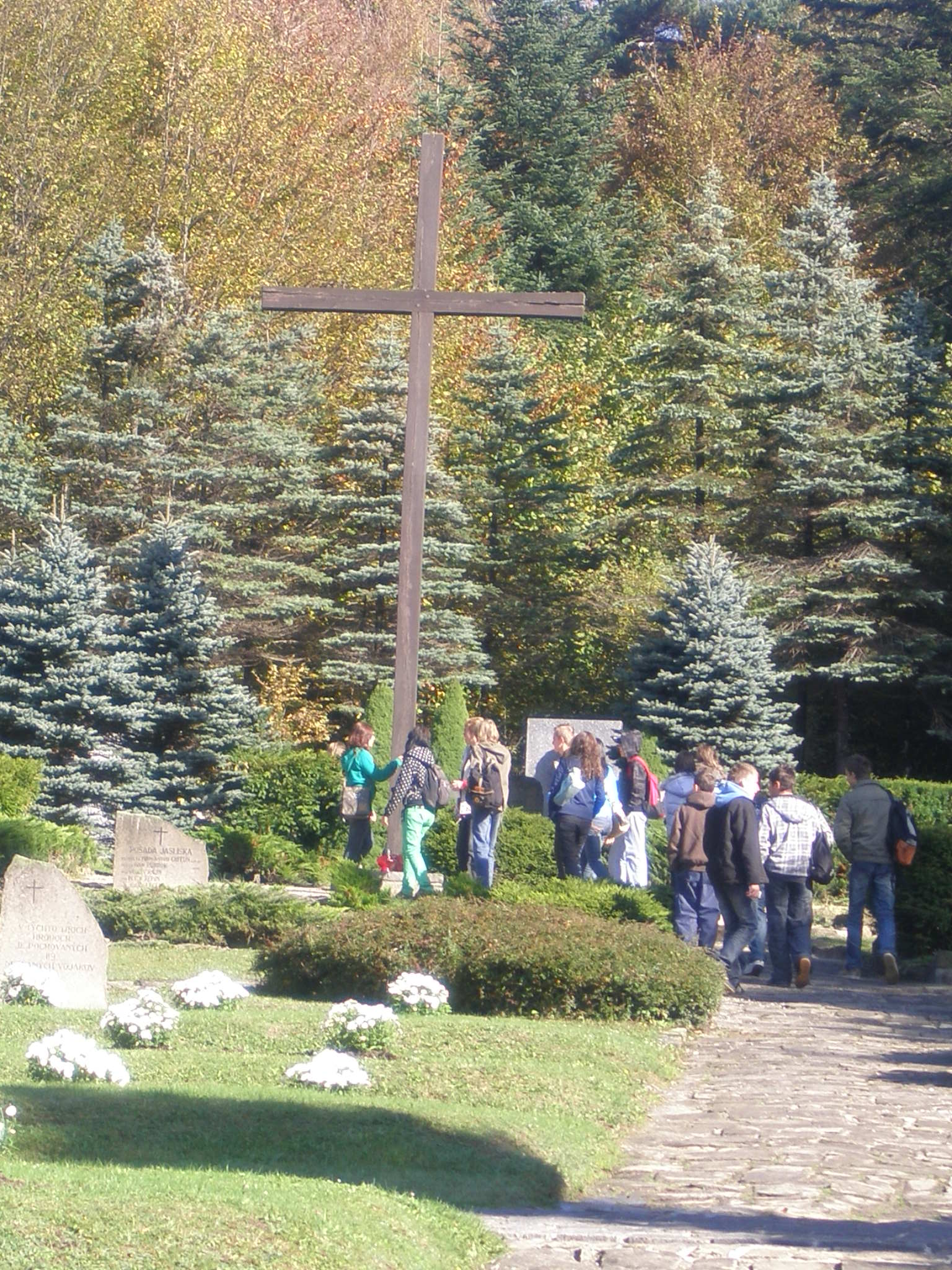 PA060006.JPG
